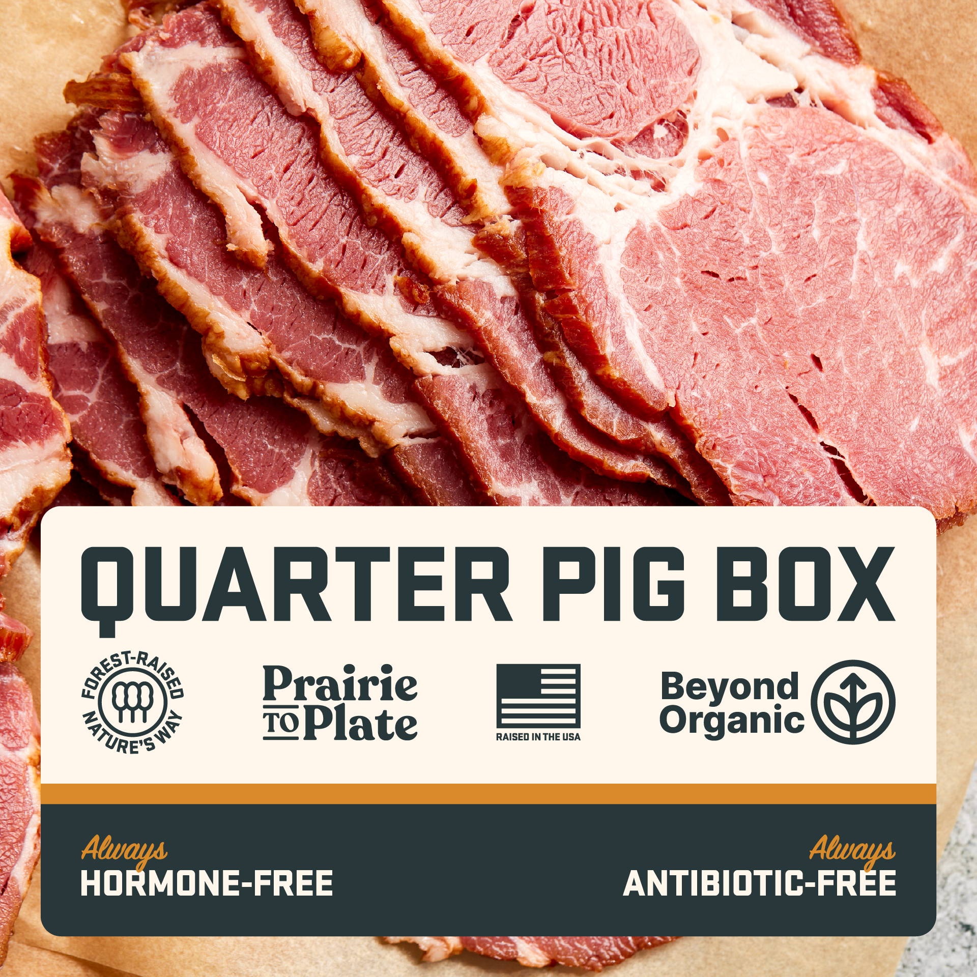 Quarter Pig Box
